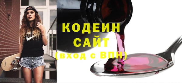 амф Новозыбков