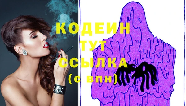 амф Новозыбков