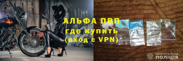 амф Новозыбков