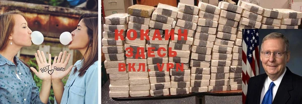 амф Новозыбков