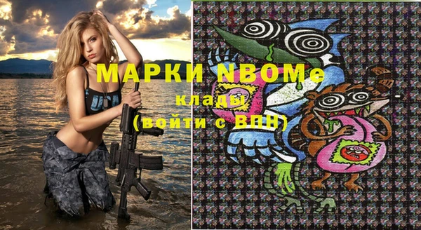 амф Новозыбков